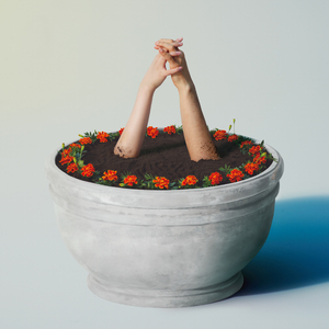 花臂凉太9周年完整视频免费
